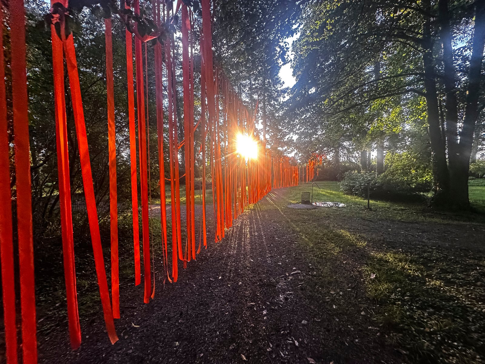 m8architekten_behindertenverband bayern_patricia-koller_euthanasie_installaton_friedhof_haar